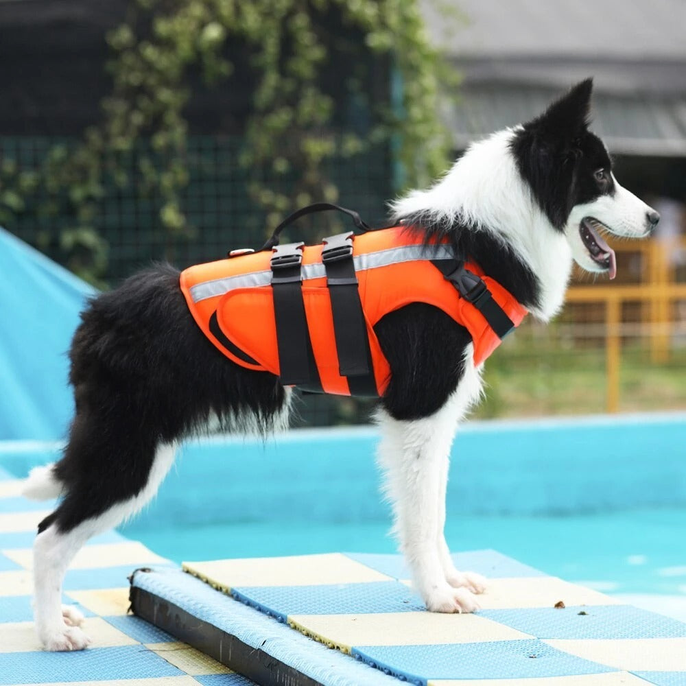 Reflective Dog Life Jacket