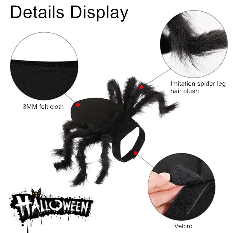 Spider Costume for Pets